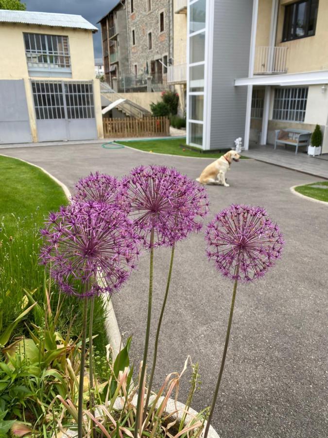 Apartament Chez Helene 3 Etoiles, Labellise Disabled Pmr,Pour 4 Personnes Chiens Bienvenus-Pet Friendly Bourg-Madame Zewnętrze zdjęcie